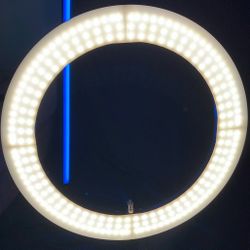 Large Ring Light