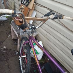 Especialized