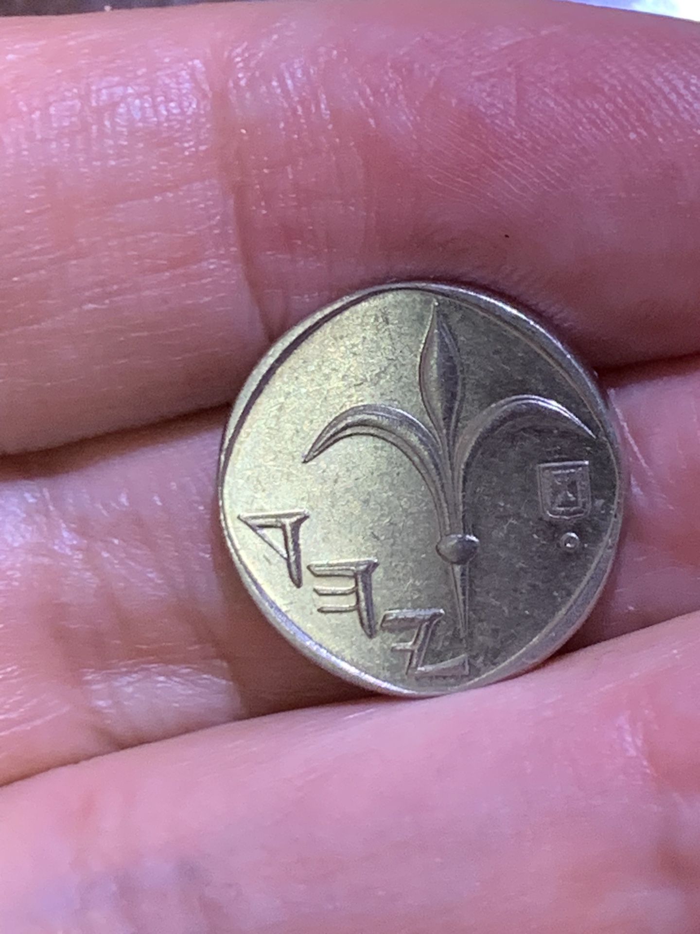 Israel 1 New Sheqel Coin