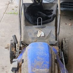 Electric Mower