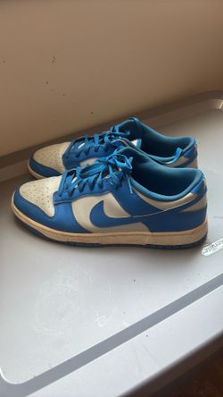 Nike dunks ( silver and blue )
