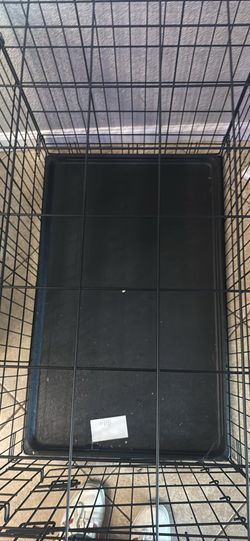 Dog Kennel