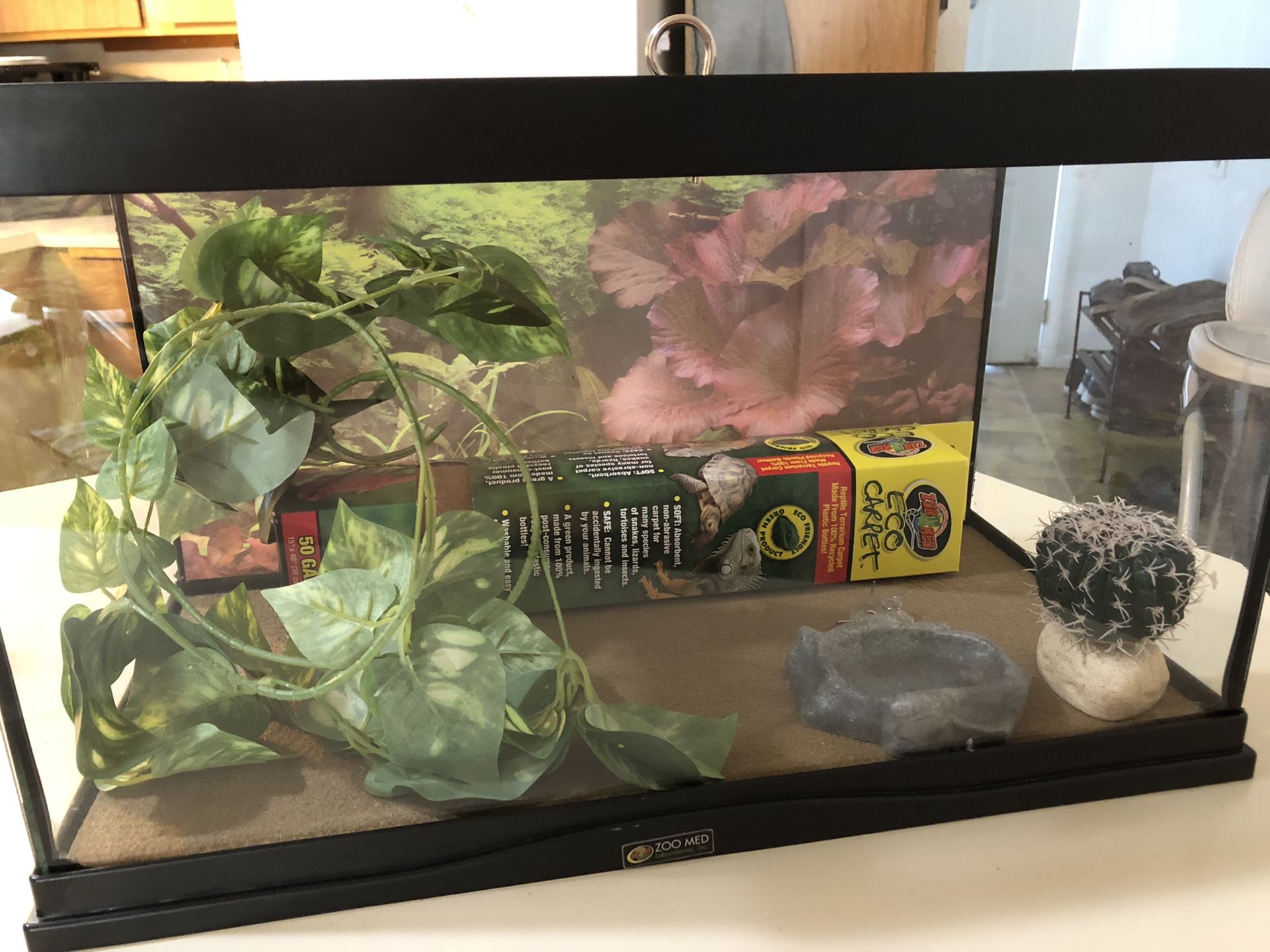 Reptile 10 gallon Tank