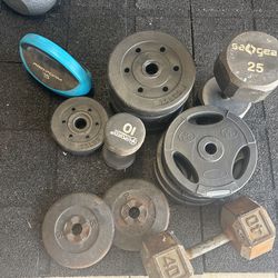 Gym Weights