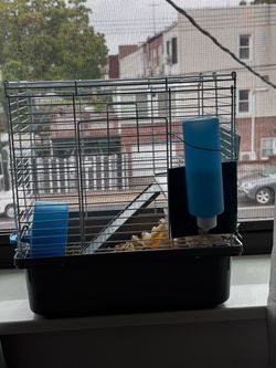 Hamster Cage Full Setup + Food & Bedding