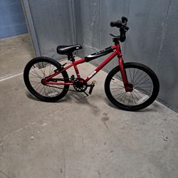 Free Agent Kids Bike