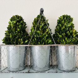 Decorative Faux Plants 