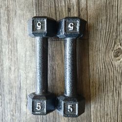 Cast Iron Dumbbells 
