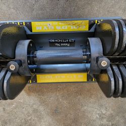 *** GOLDS GYM WEIGHTS ***