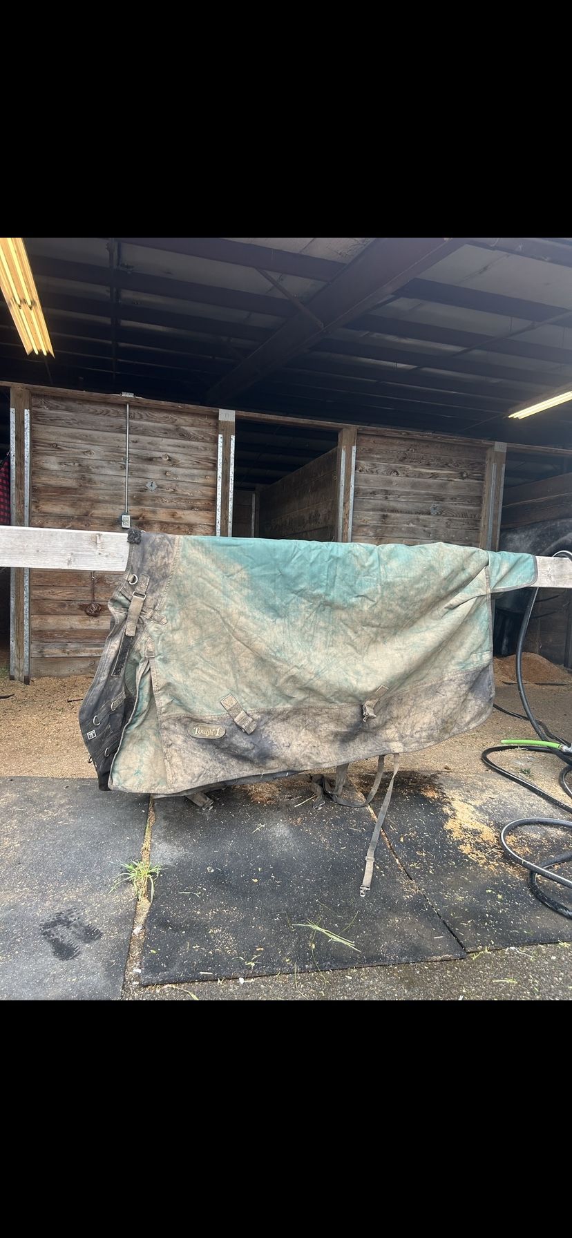 Horse blanket