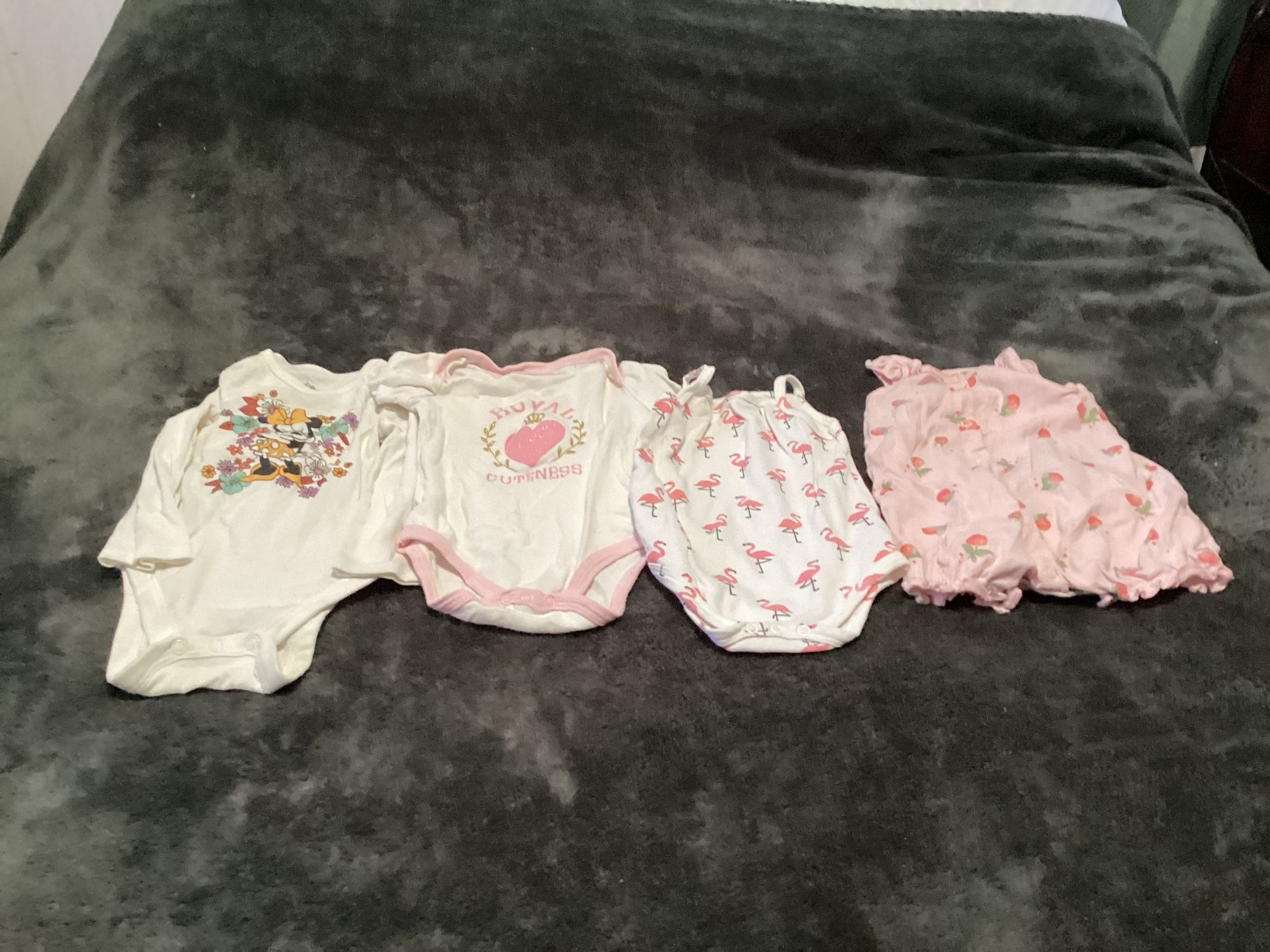 Infant Girls Onesies Size 9Months 10 Pieces