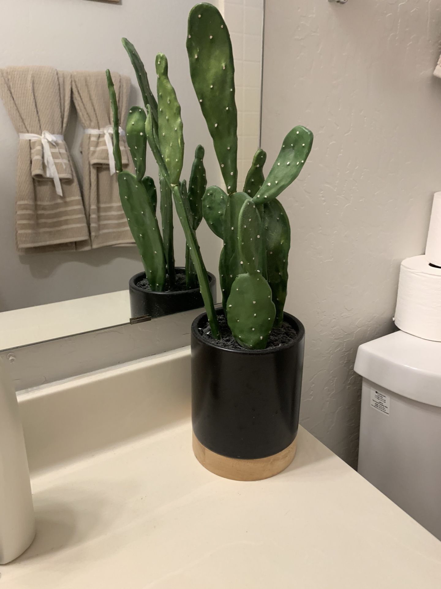 Fake cactus. Fake plant