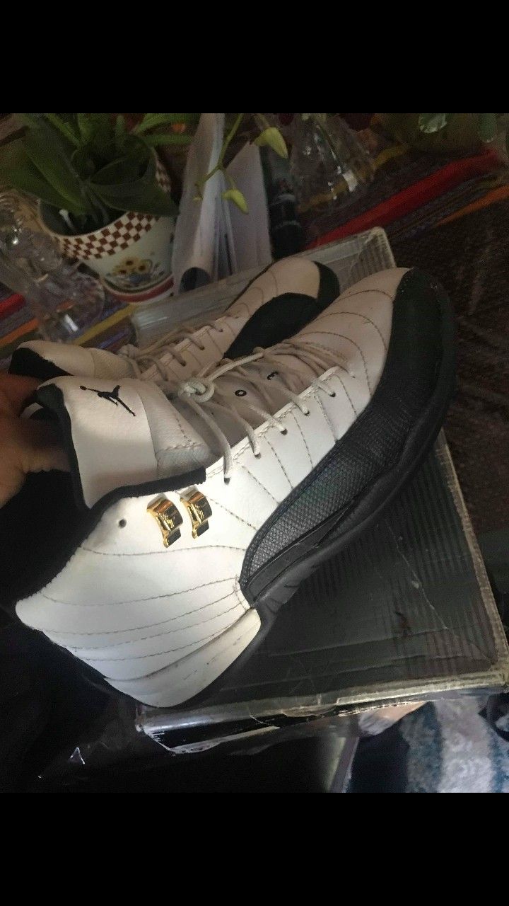 Jordan 12s taxi/ cool grey