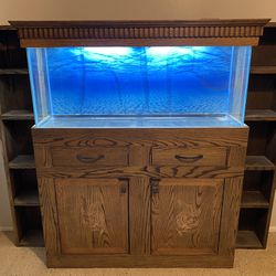 One Of A Kind Fish Tank 