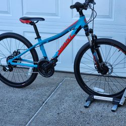 Giant XTC JR 24 Disc 