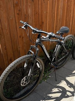 Diamondback Excursion Mountain Bike