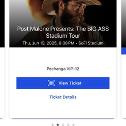 Post Malone Concert Tickets 