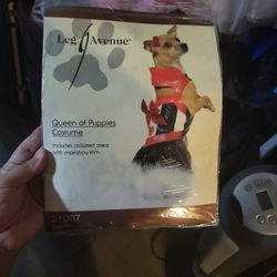 Dog Costume 