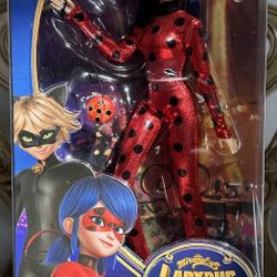 Lady Bug Cat Noir 