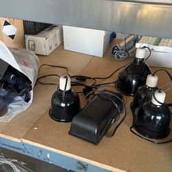 Reptile And Aquarium Lights