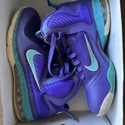 Lebron 9 clearance hornets