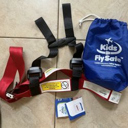 Airplane Safety Belt