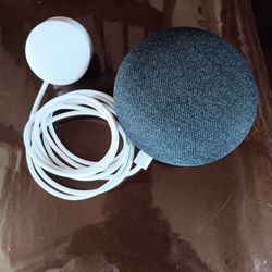 2 Google Nest Minis