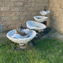 Otter Fountain 