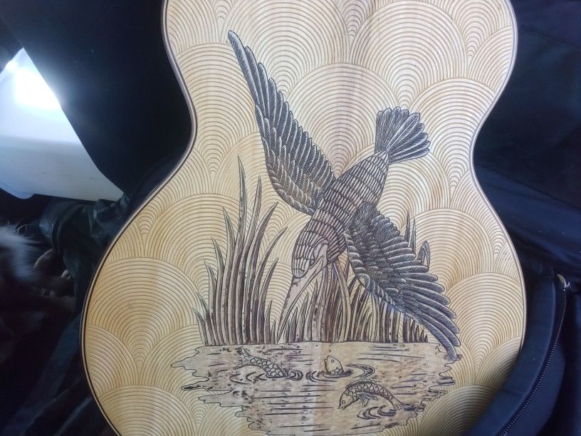 Blueberry Concert Acoustic Kingfisher Motif