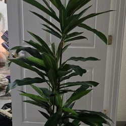 5ft Fake Plant