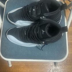 Air Jordan 12