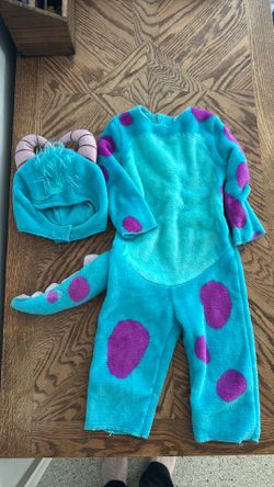 Sully Costume
