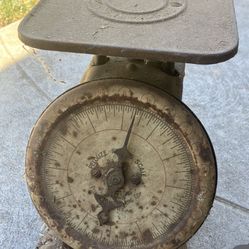 Antique Scale