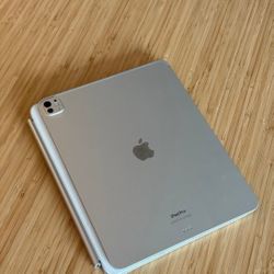 iPad Pro 13 inch M4 WiFi 256 GB