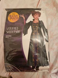 Hocus Pocus Winifred Sanderson kids Costume