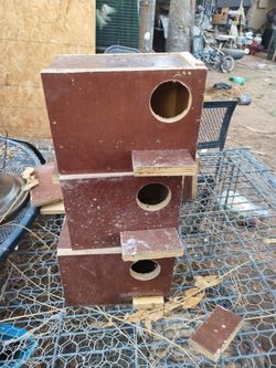 Casas Para Pájaros