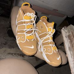 Nike Air More Uptempo GS Wheat Pollen