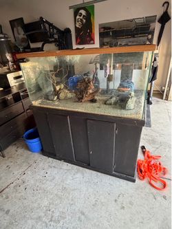 90 gallon tank and stand