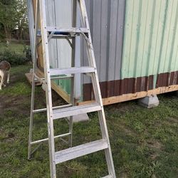 Werner 6Ft Ladder 