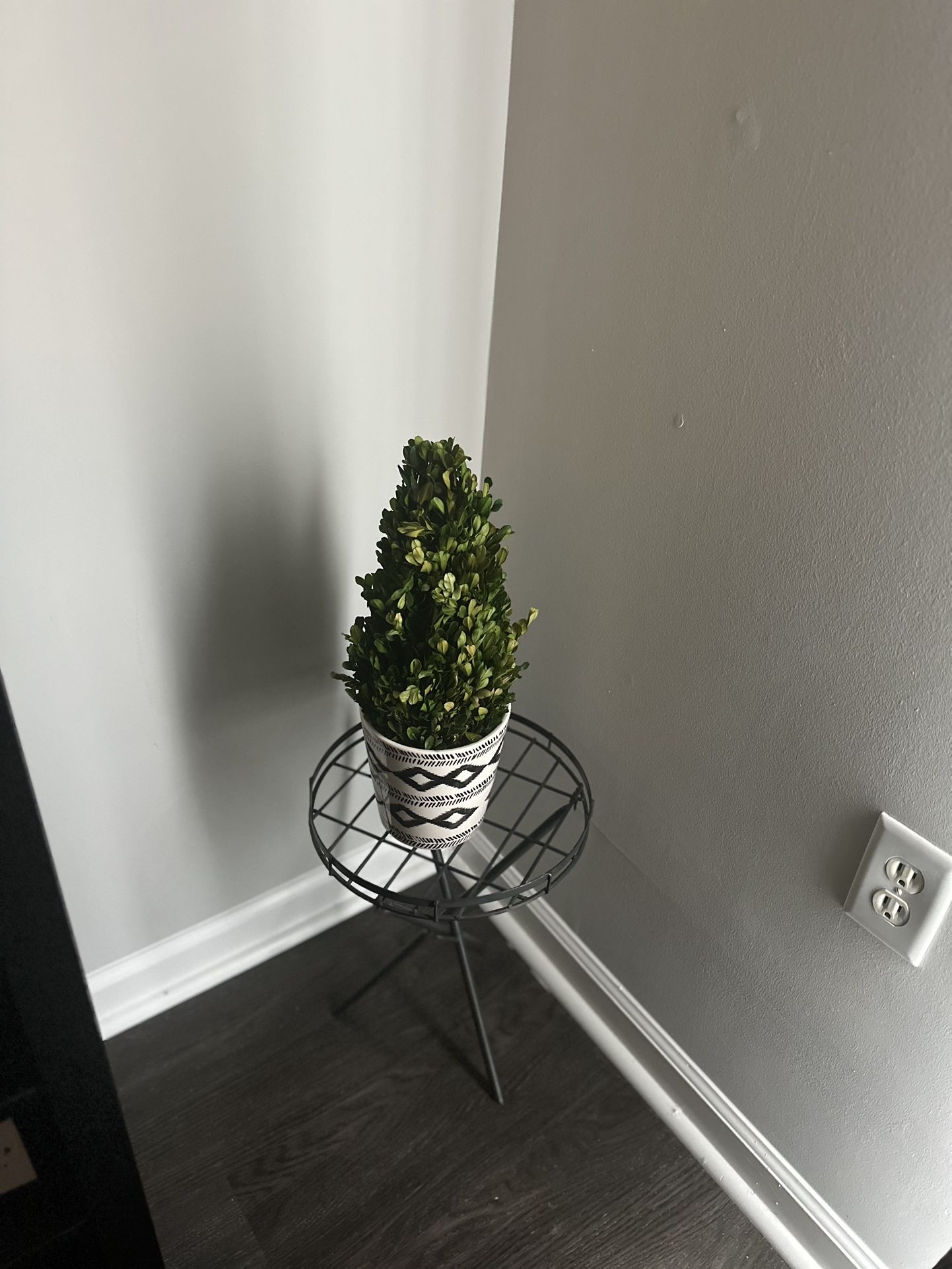 Plant Stand