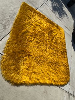 Vintage shag rug