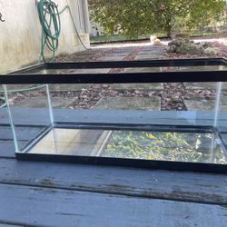 30 Gallon Fish Tank (Price negotiable) 