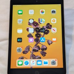 VERY NICE APPLE iPad MINI 3 QUEENS PICK UP
iPad works on WIFI