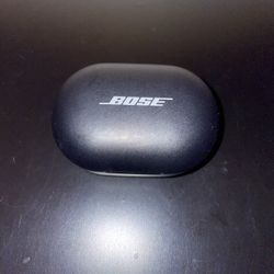 Bose Case 