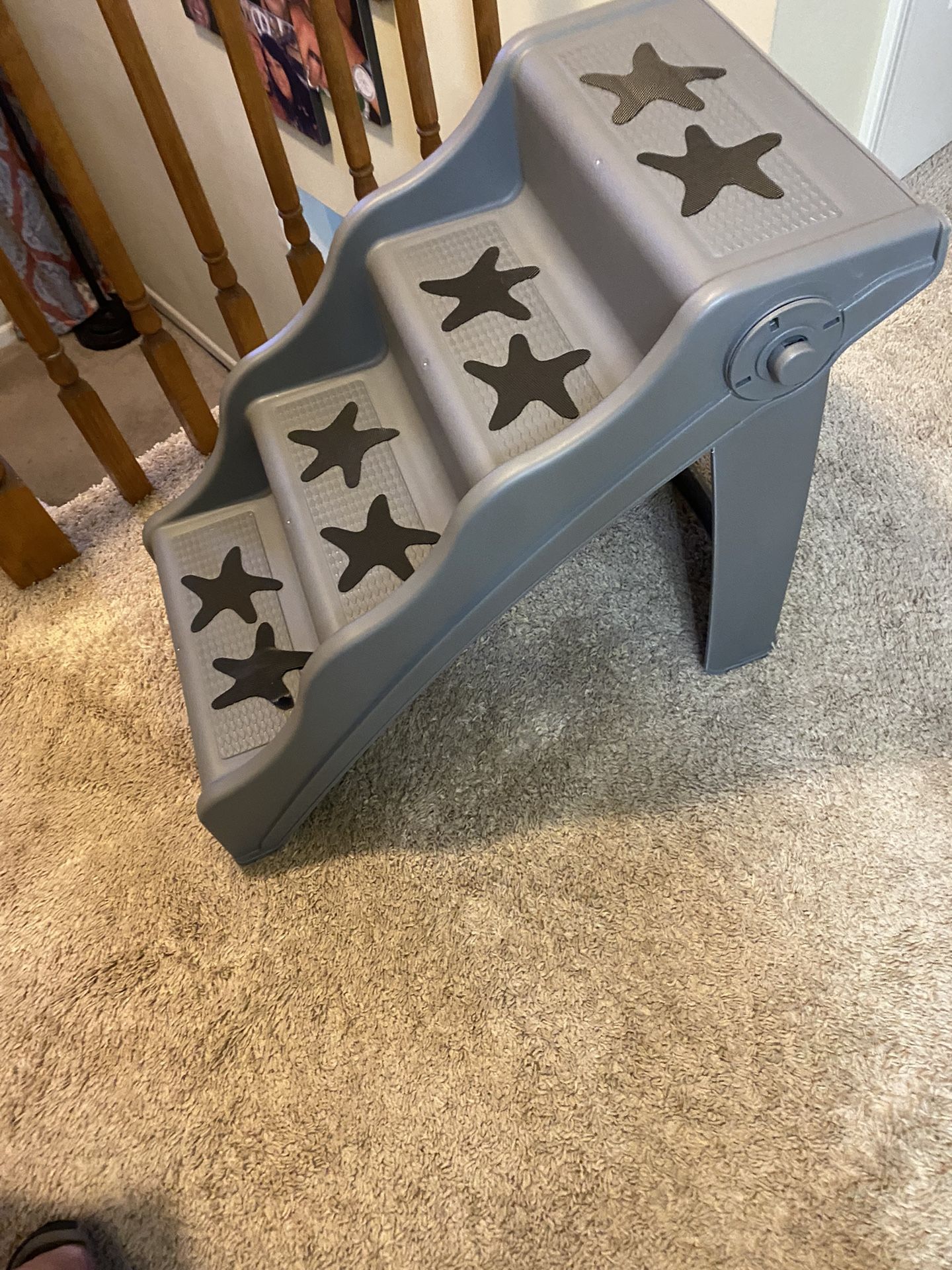 Dog Steps With Star Treads