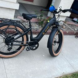 BIG SUR Mountain E Bike