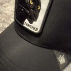 Panther Hat