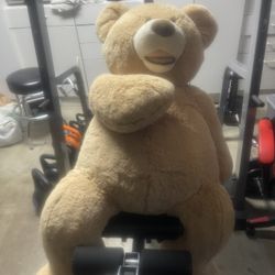Large teddy bear