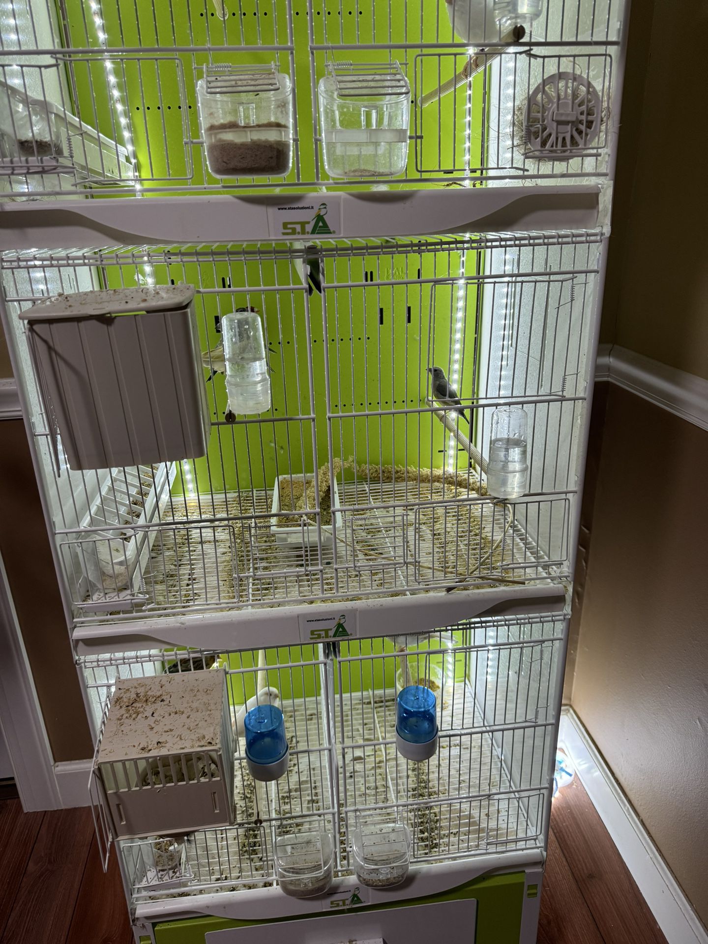 Birdcage For Sale