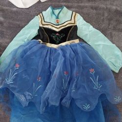 Anna-Frozen Costume 4T $5